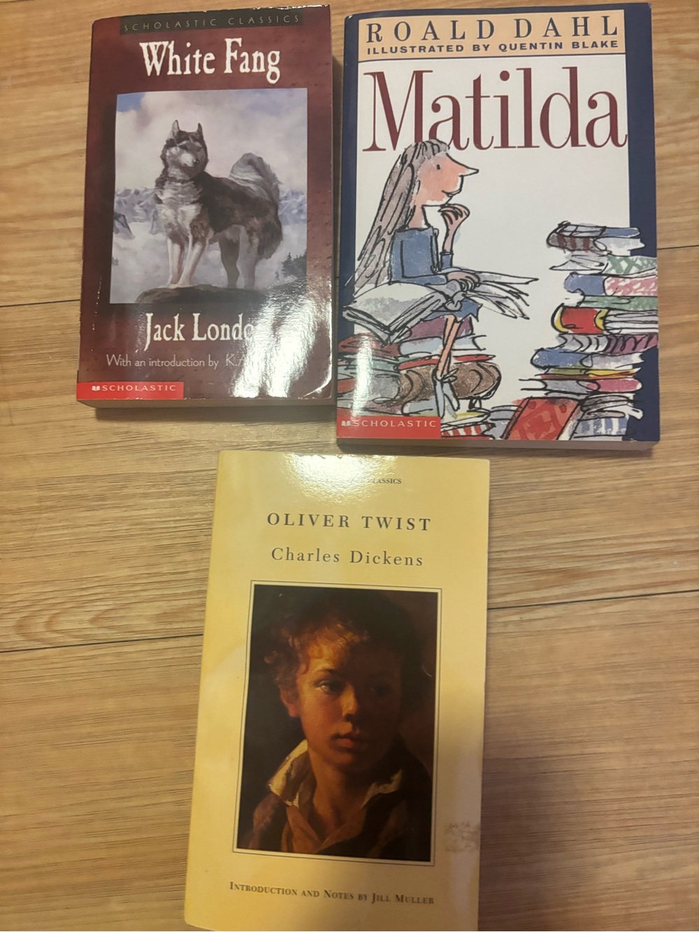 Classic books bundle
